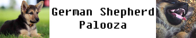 German Shepherd Palooza